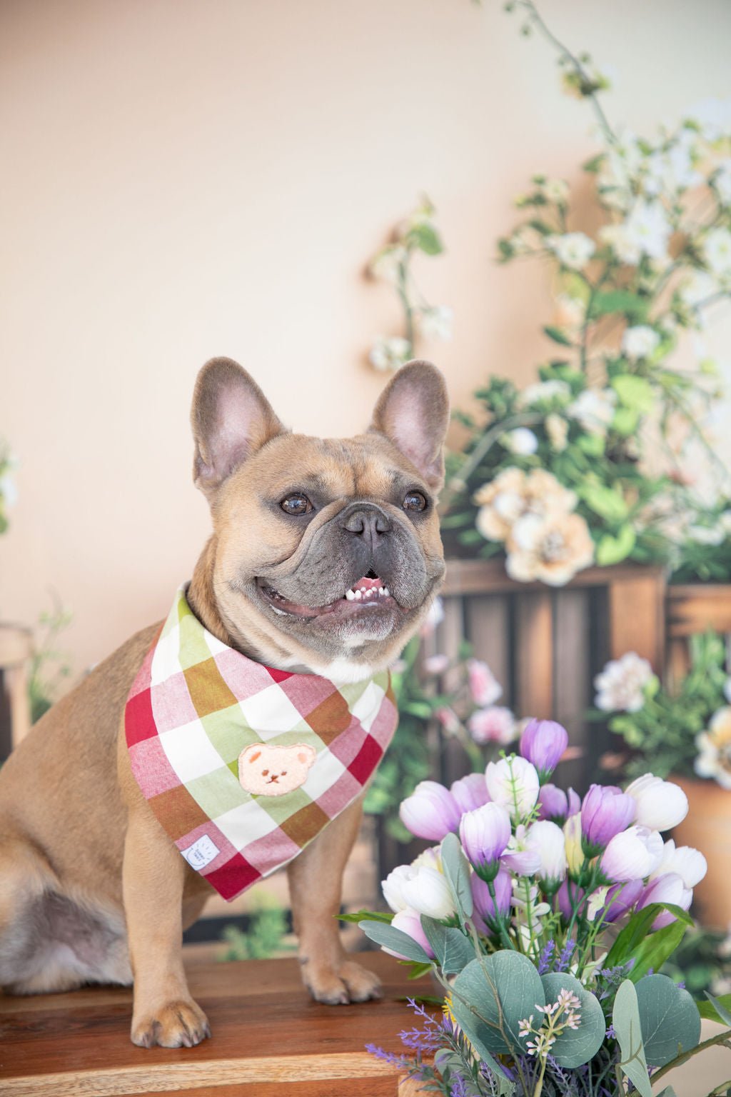 Picnic Plaid Teddy Bear Dog Bandana