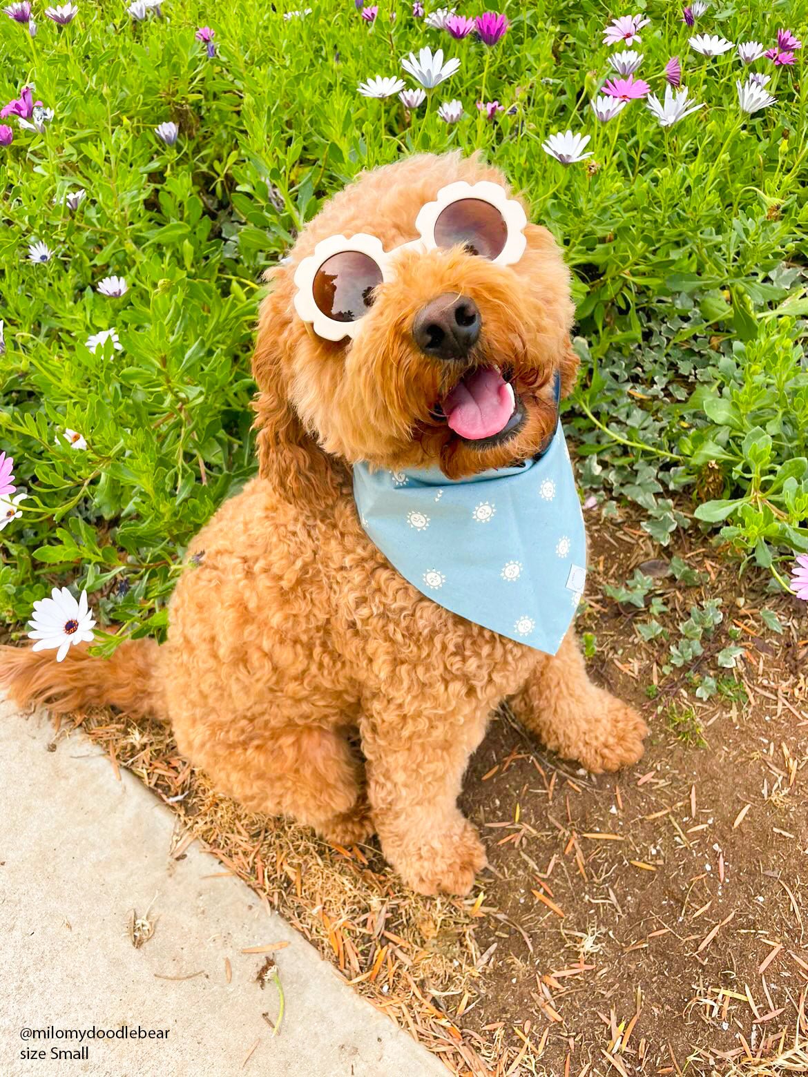 Sunny Mood Dog Bandana