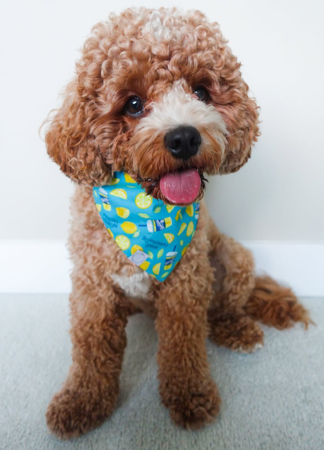 When Life Gives You Lemons Dog Bandana