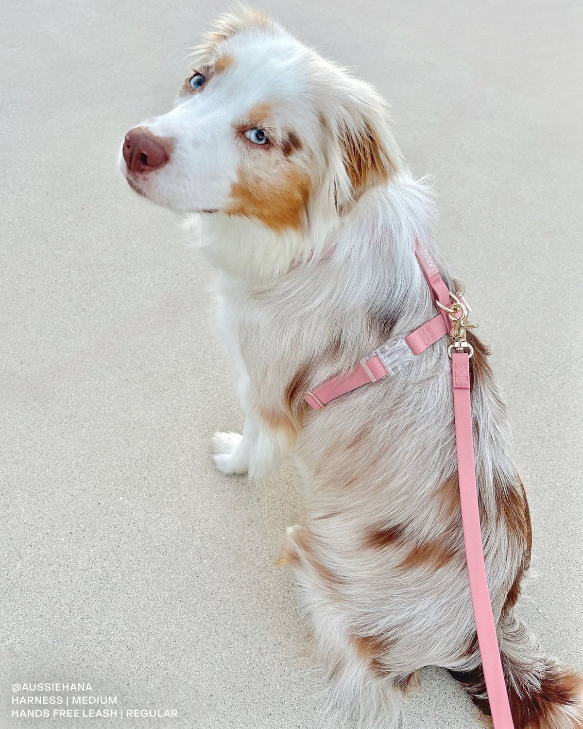 Perfect Pink Waterproof Cloud 30 Ft Dog Leash