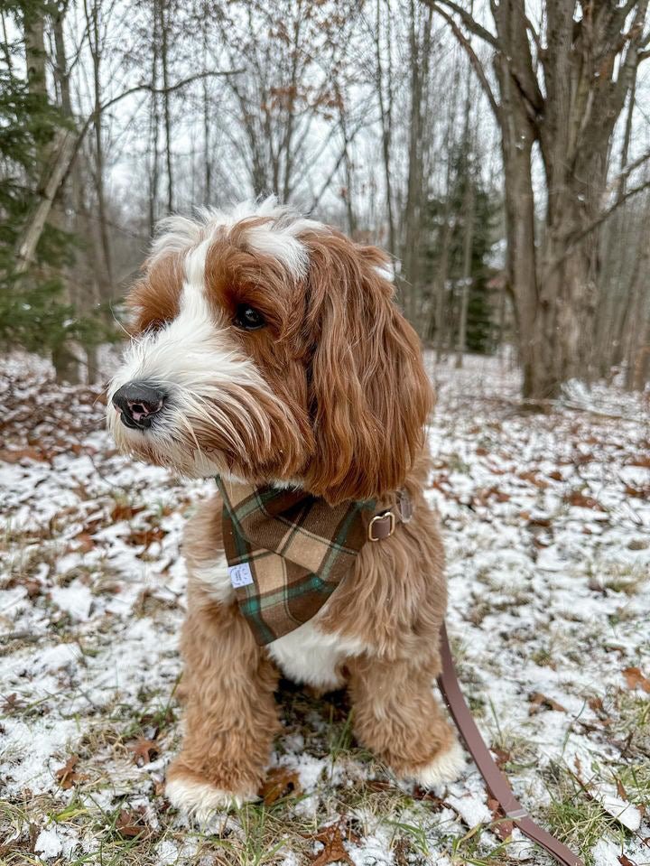 Mint Choco Plaid Flannel Dog Bandana