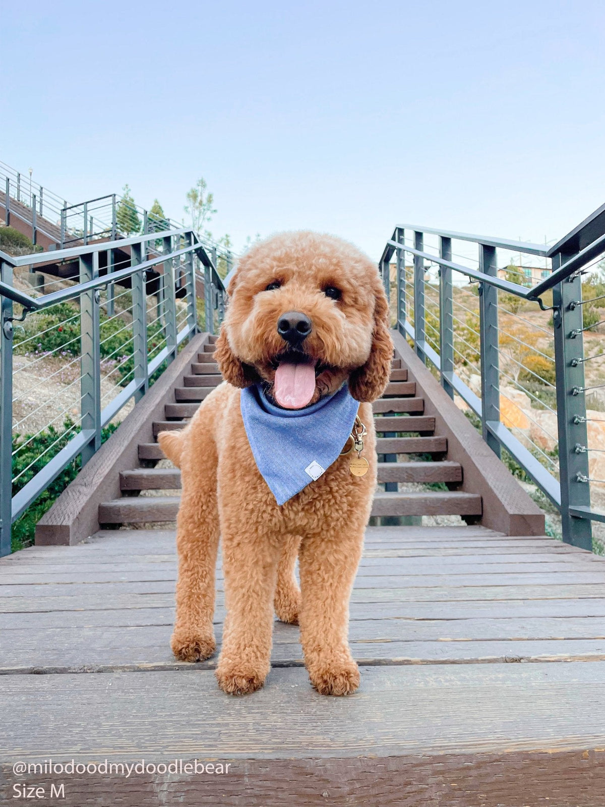 Blue Herringbone Flannel Teddy Bear Dog Bandana