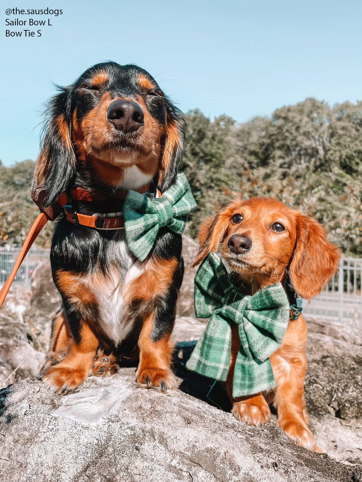 Forest Plaid Flannel Dog Bow Tie