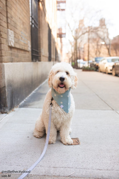Sunny Mood Dog Bandana