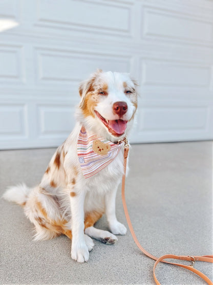 Sherbet Teddy Dog Bandana