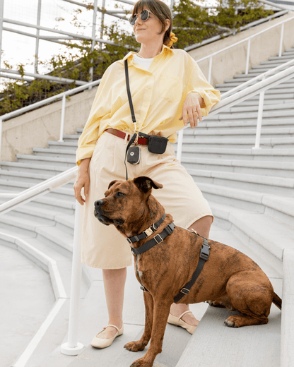 Ember Black Cloud Lite Dog Harness