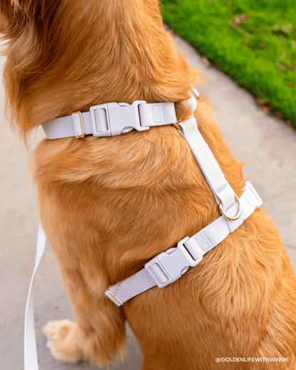 Best Sellers Harness & Large Treat Pouch Bundle