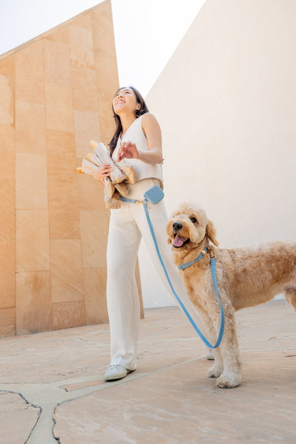 Best Sellers Harness & Standard Treat Pouch Bundle