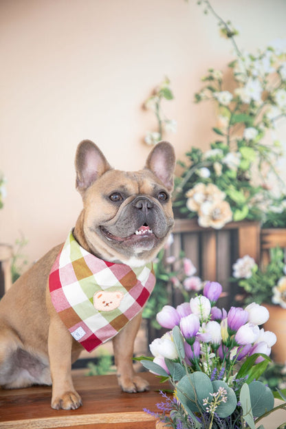 Picnic Plaid Teddy Bear Dog Bandana