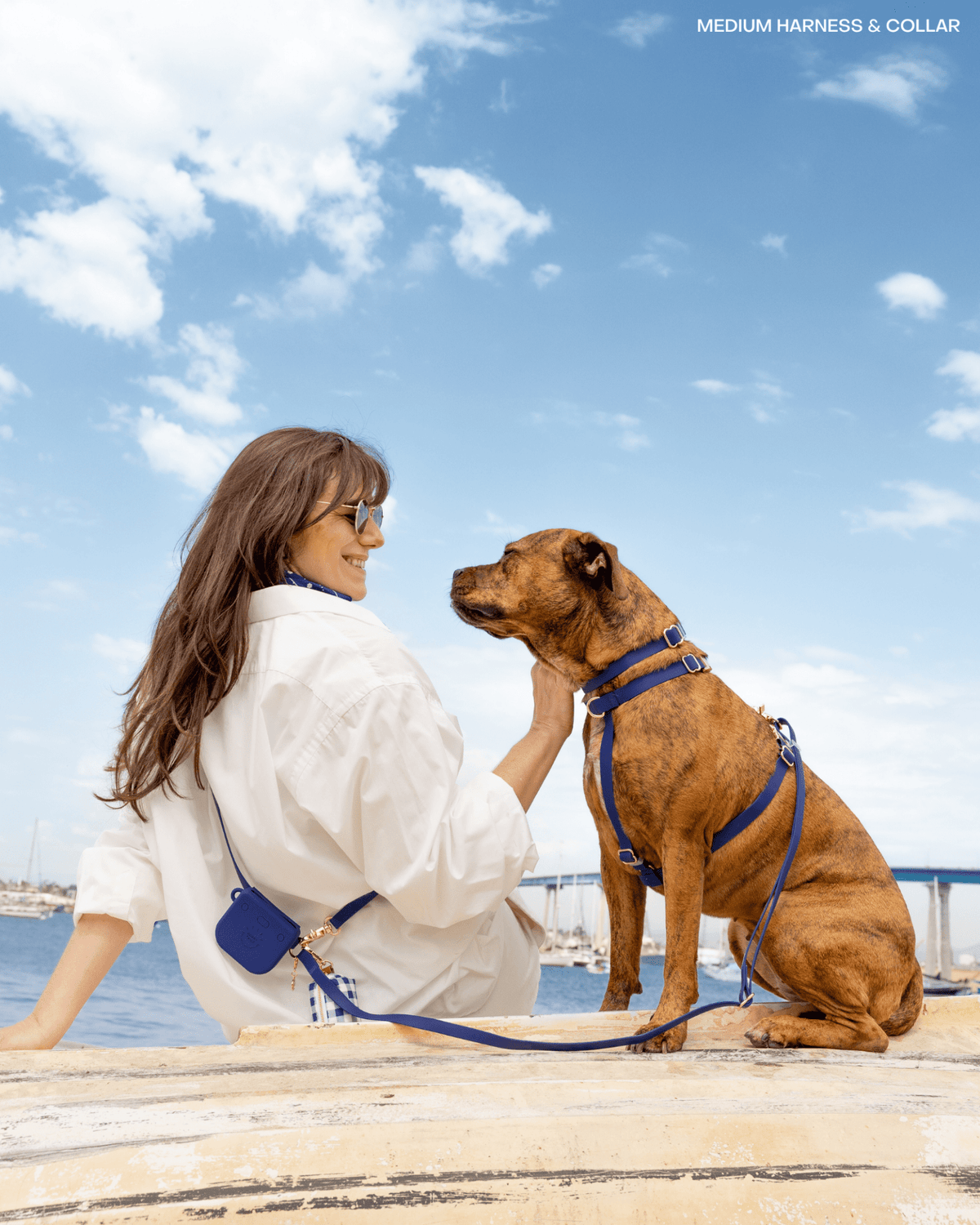 Best Sellers Harness & Standard Treat Pouch Bundle