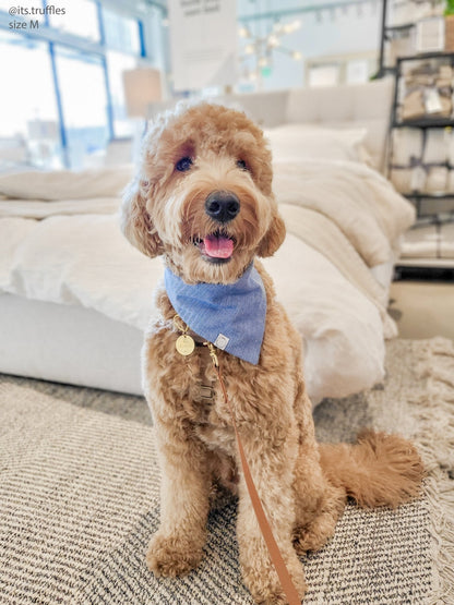 Blue Herringbone Flannel Teddy Bear Dog Bandana