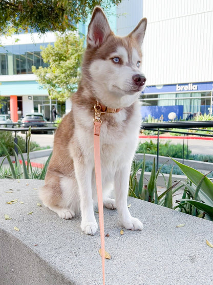 Chai Brown Waterproof Cloud Dog Leash