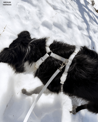 Lunar Glow Cloud Leash Extension