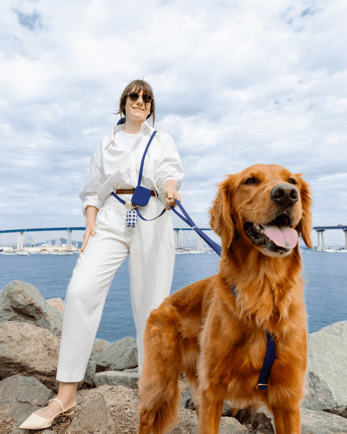 Best Sellers Harness & Standard Treat Pouch Bundle