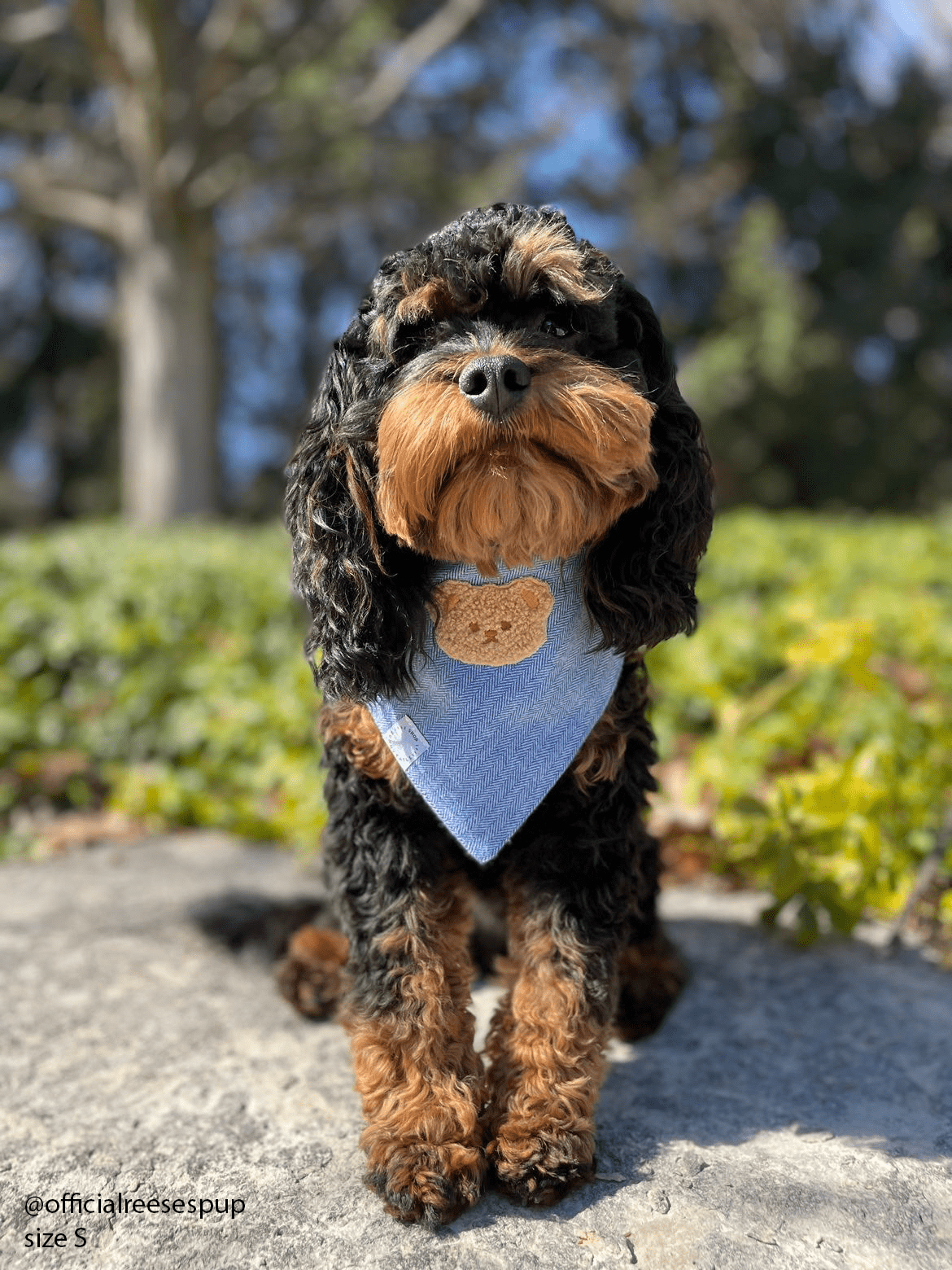 Blue Herringbone Flannel Teddy Bear Dog Bandana