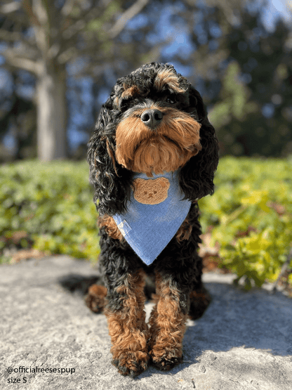 Blue Herringbone Flannel Teddy Bear Dog Bandana