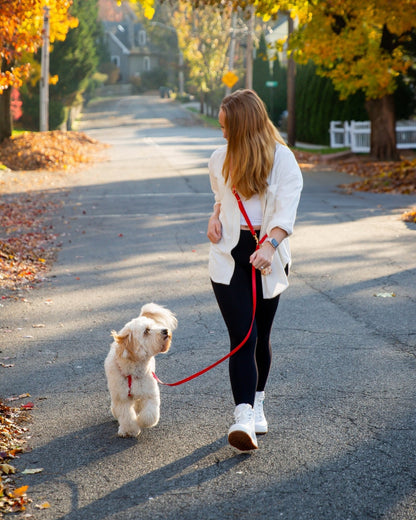 Cherry Red 4-in-1 Convertible Hands Free Cloud Dog Leash