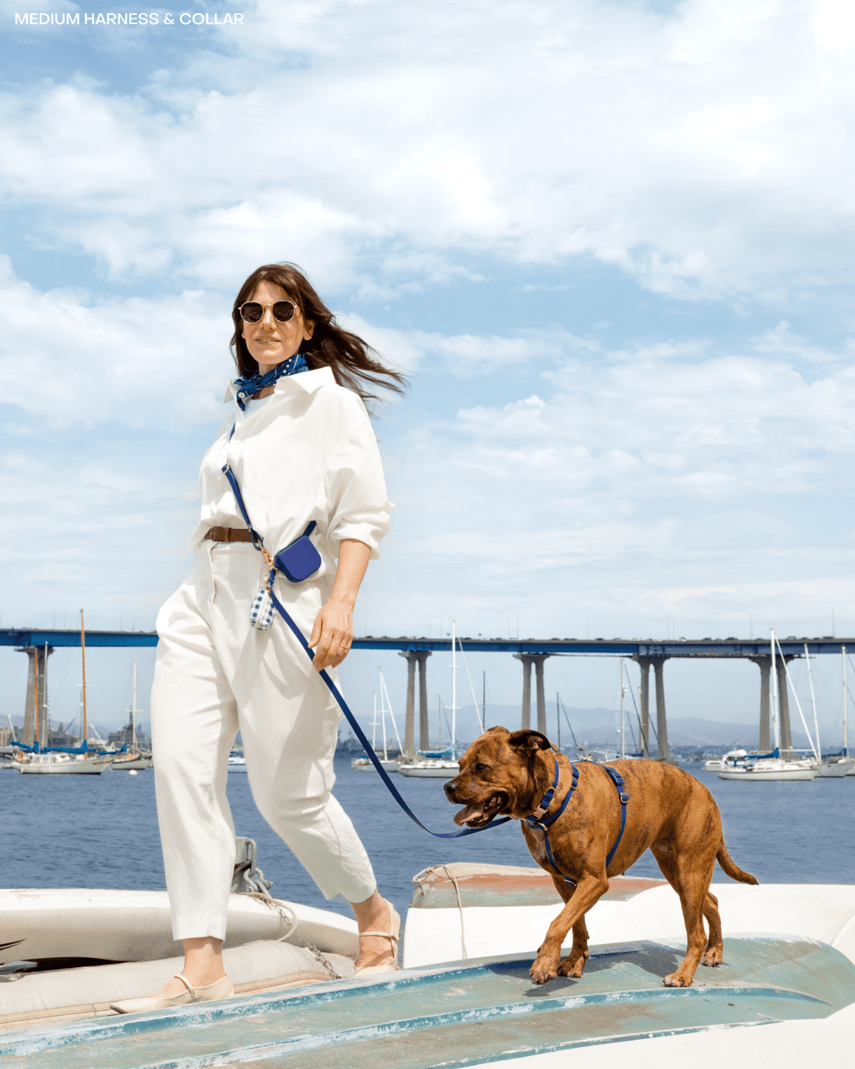 Signature Navy Waterproof Dog Collar
