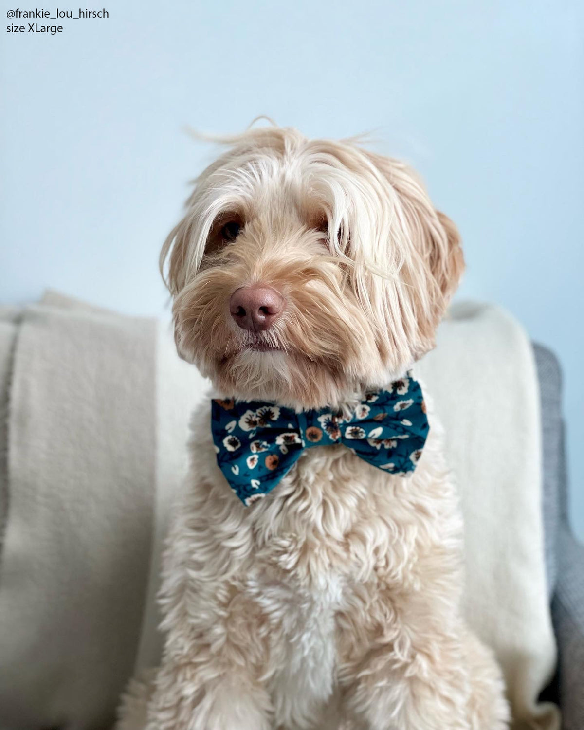 Corduroy Floral Dog Bow Tie