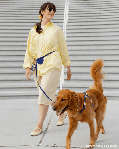Best Sellers Harness & Standard Treat Pouch Bundle