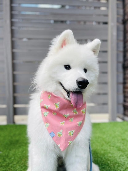 Just Keep Swimming Turtles Dog Bandana