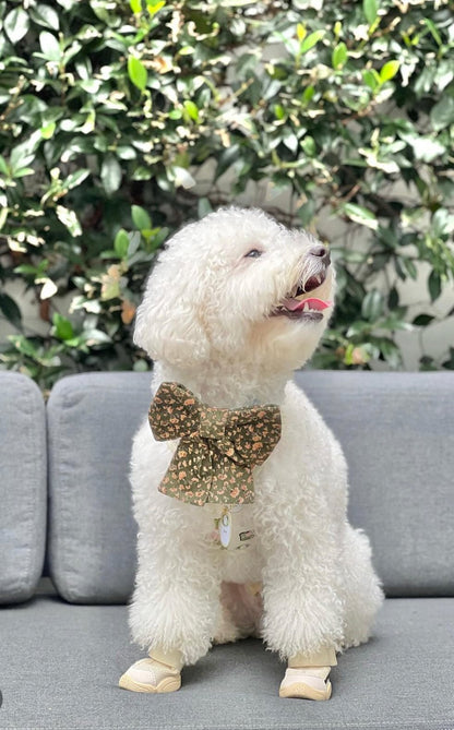 Autumn Florals Corduroy Dog Sailor Bow