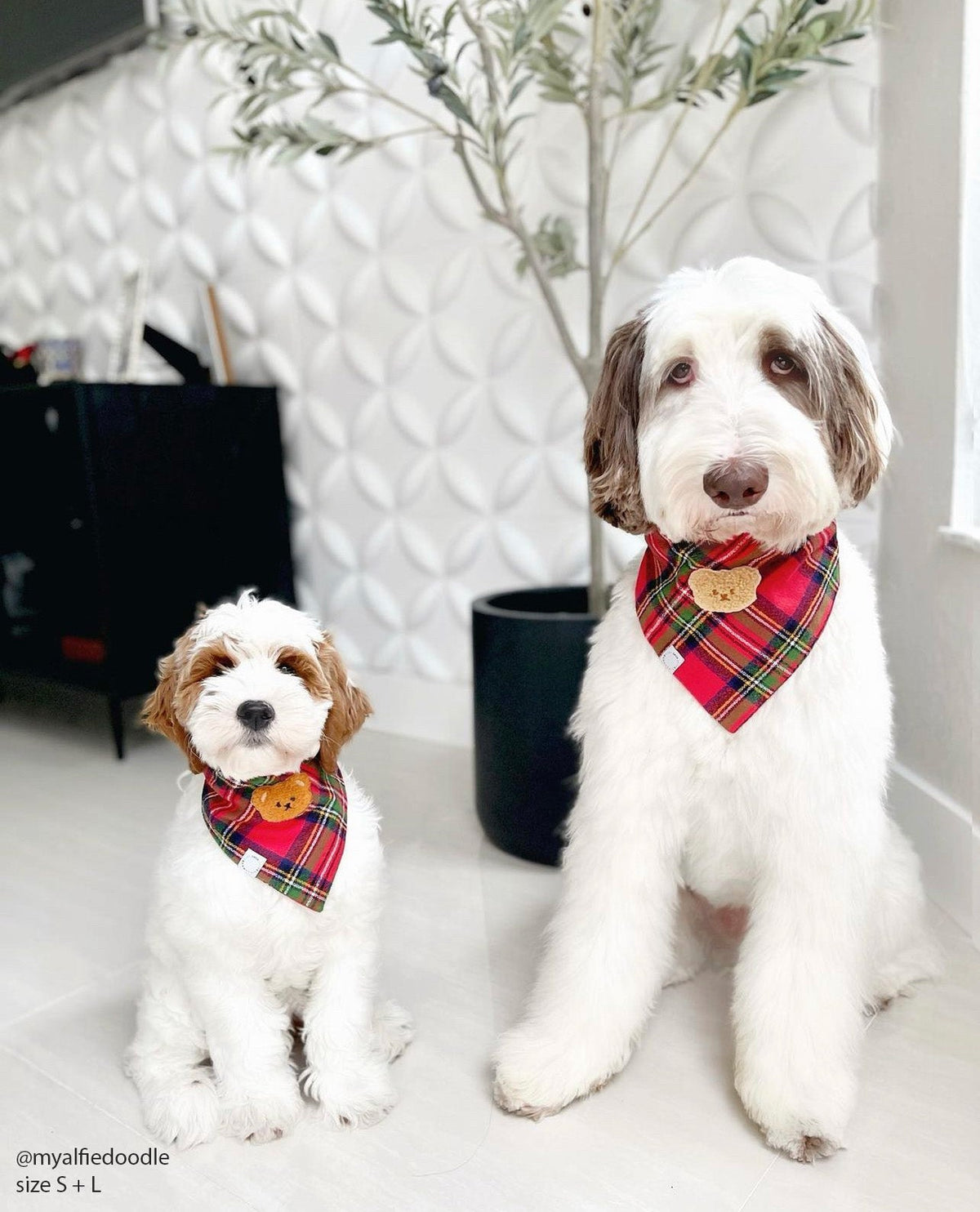 Christmas Flannel Teddy Bear Dog Bandana