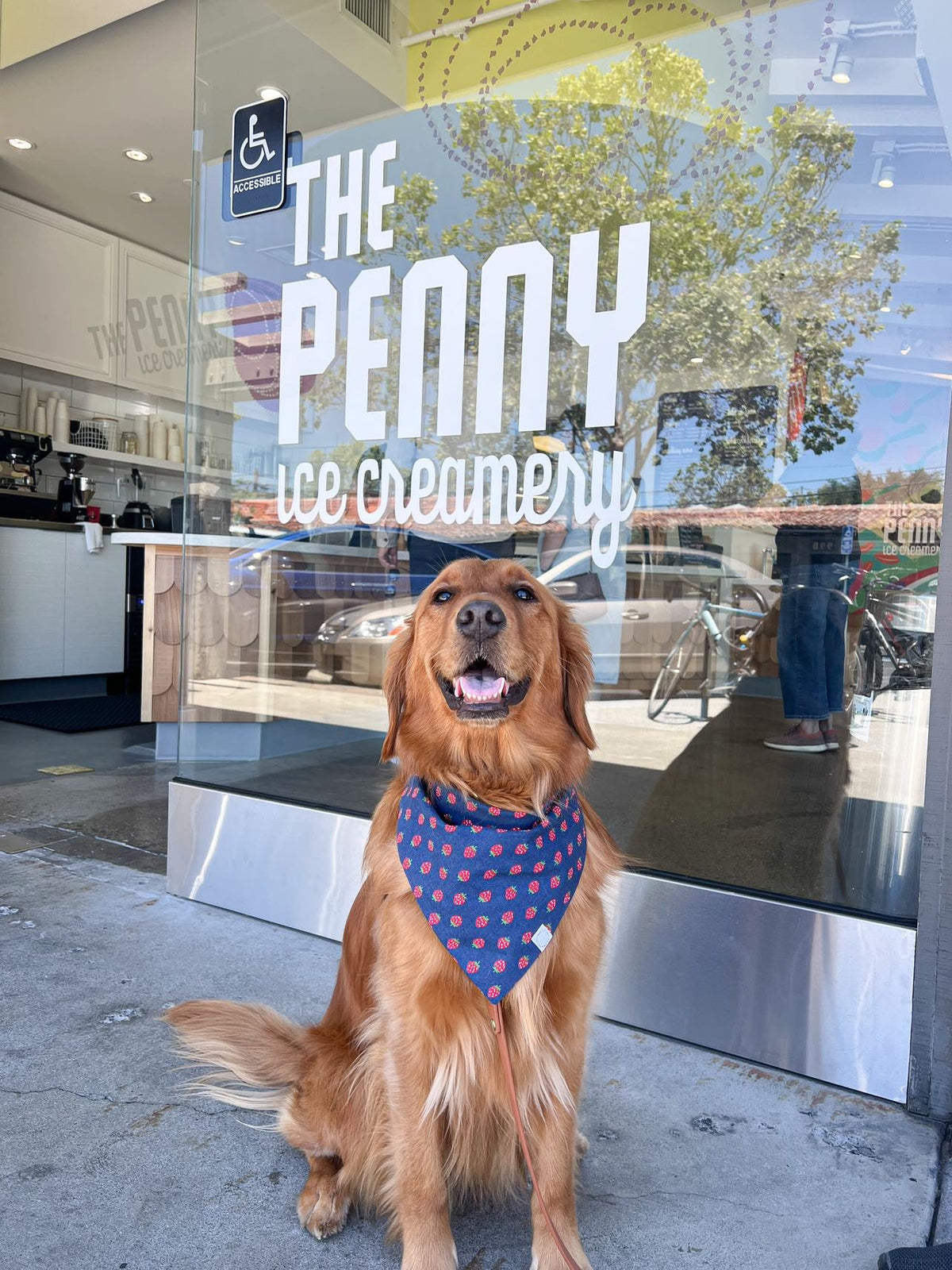 Strawberry Jeans Dog Bandana