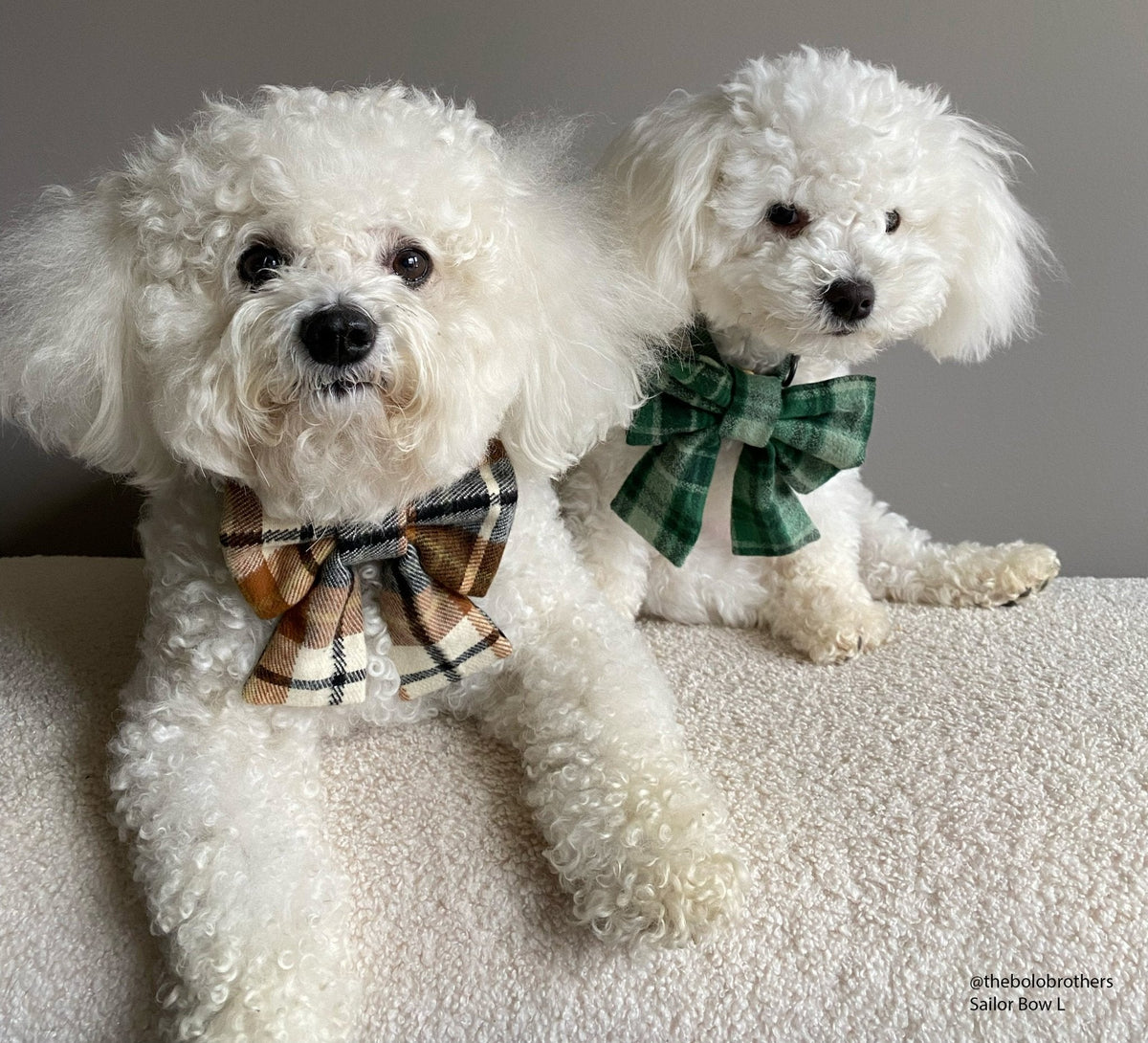Harvest Plaid Flannel Dog Sailor Bow