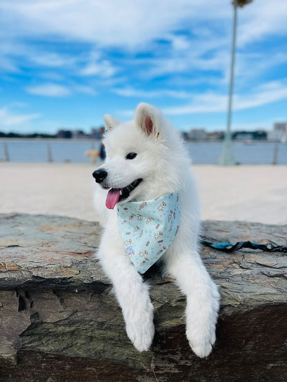 My Otter Half Dog Bandana