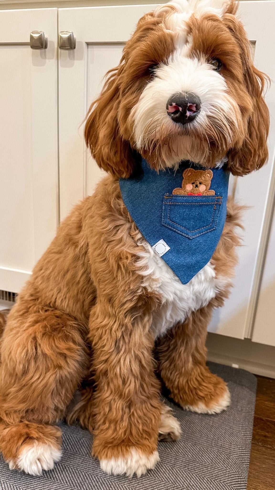 Pocket Teddy Indigo Denim Dog Bandana - Brown