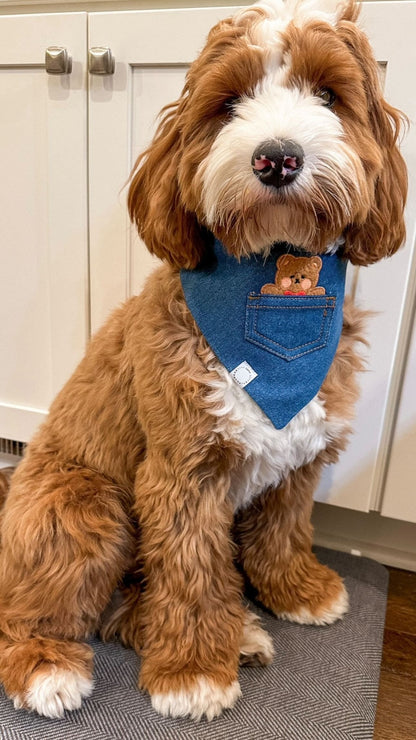 Pocket Teddy Indigo Denim Dog Bandana - Brown