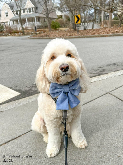 Blue Herringbone Flannel Dog Sailor Bow