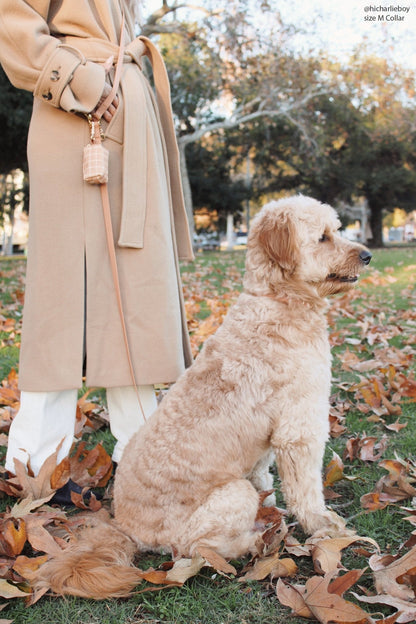 Cloud Dog Collar Bundle