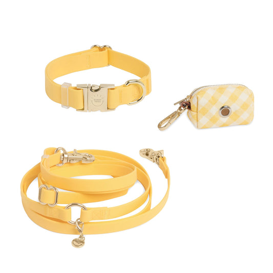 Cloud Dog Collar Bundle