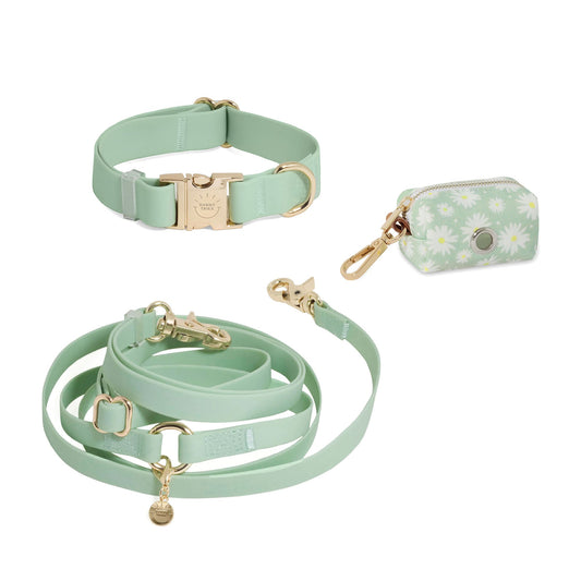 Cloud Dog Collar Bundle