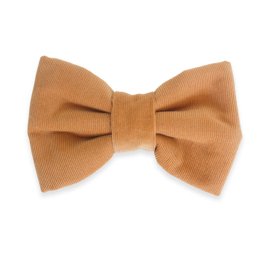 Caramel Corduroy Dog Bow Tie