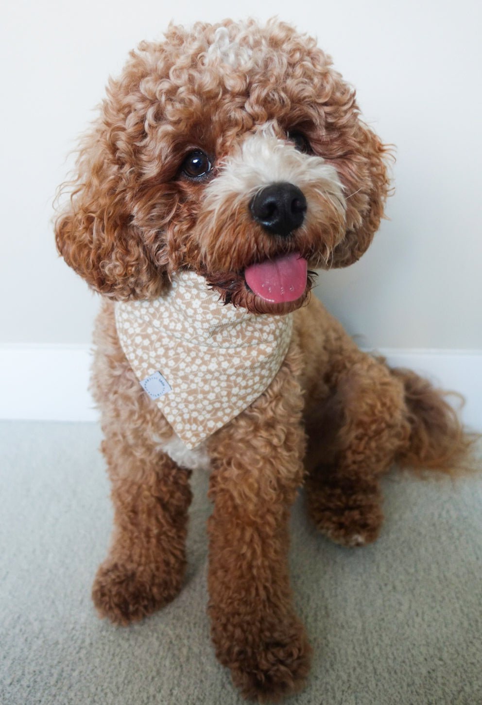 Corduroy Everyday Floral Dog Bandana
