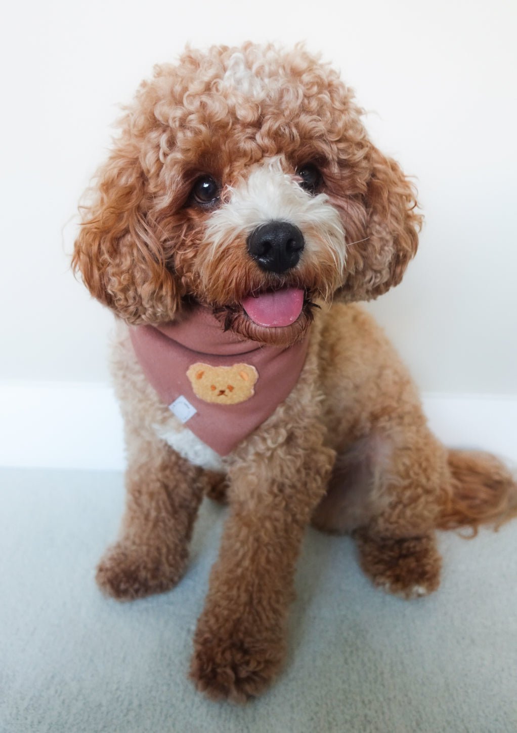 Teddy Fleece Brown Dog Bandana