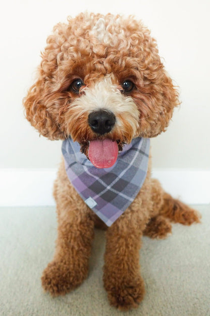 Purple Plaid Flannel Dog Bandana
