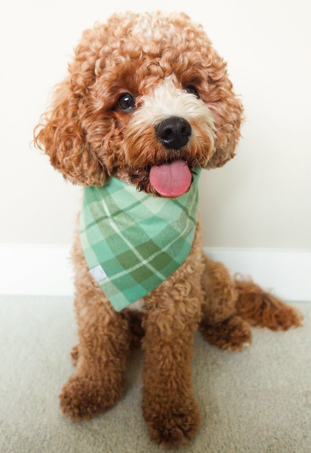 Sage Plaid Flannel Dog Bandana
