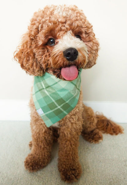 Sage Plaid Flannel Dog Bandana
