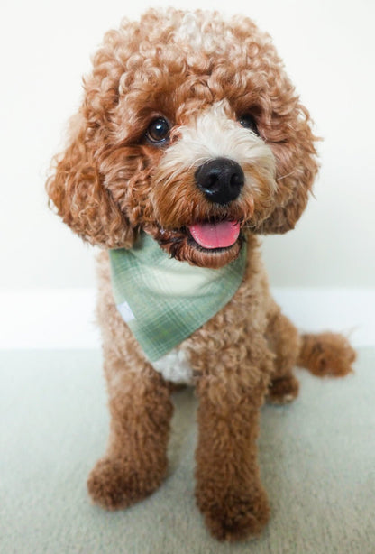 Moss Green Flannel Dog Bandana