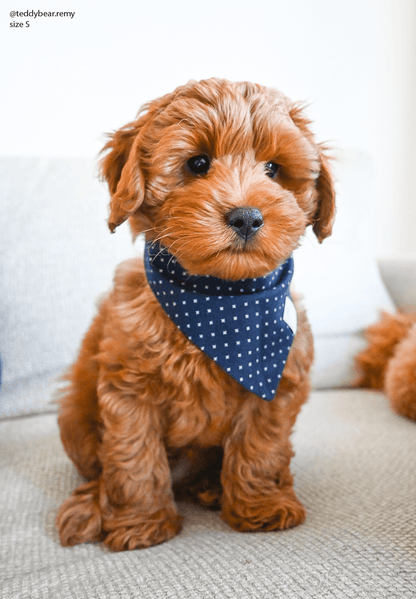 Classic Navy Dog Bandana