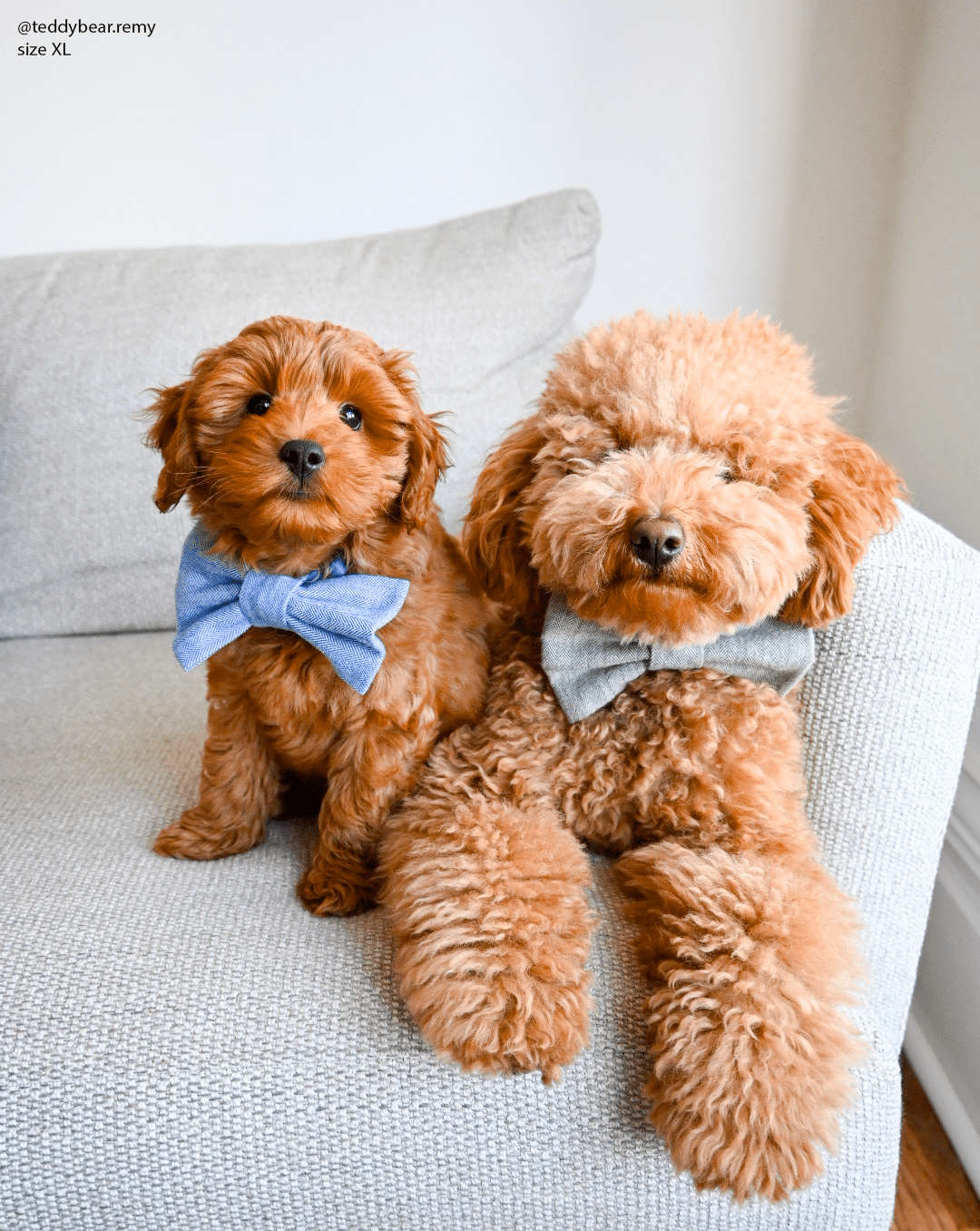 Basil Herringbone Flannel Dog Bow Tie