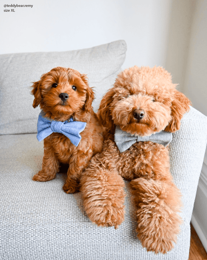 Basil Herringbone Flannel Dog Bow Tie