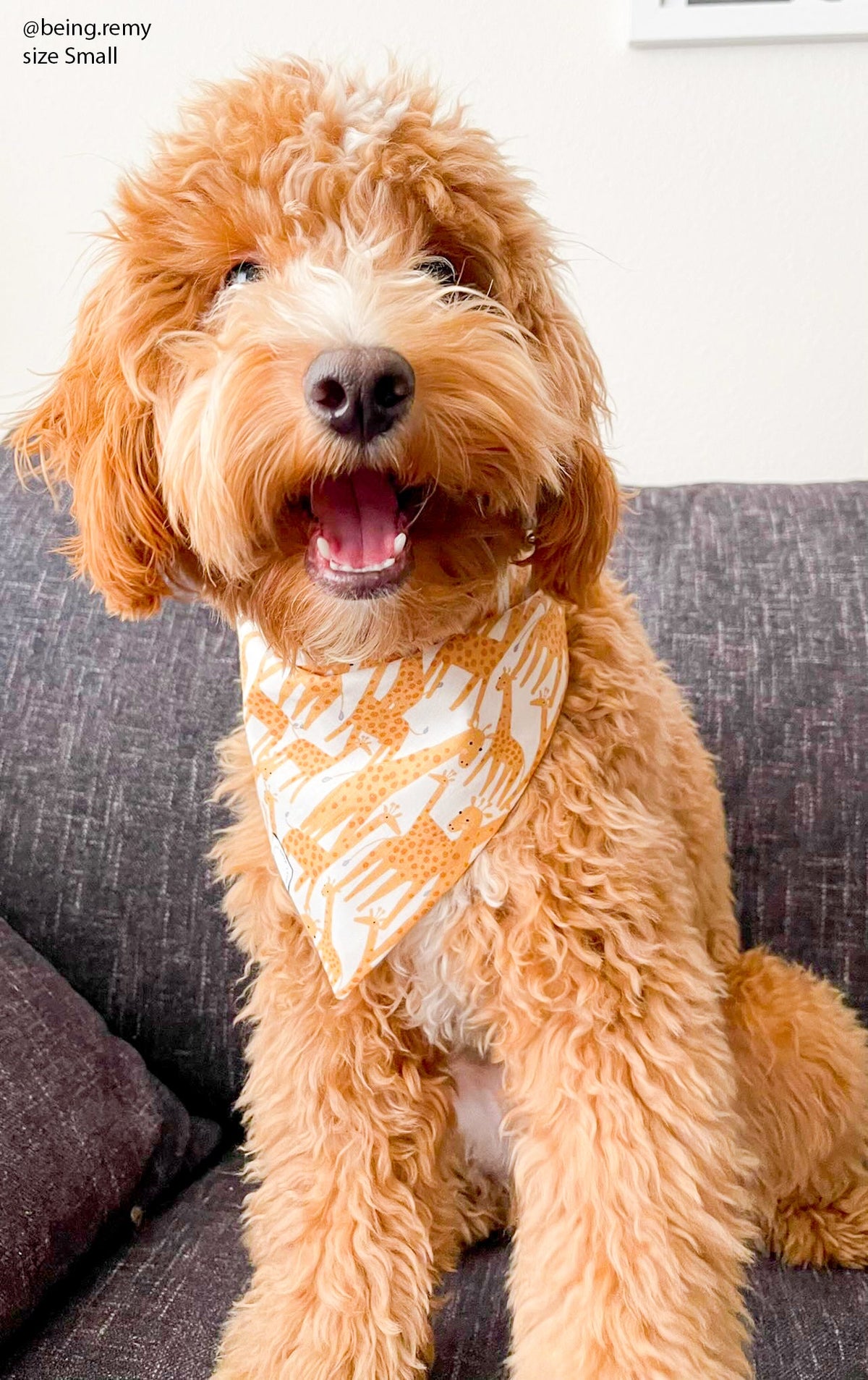 Giraffic Jam Dog Bandana