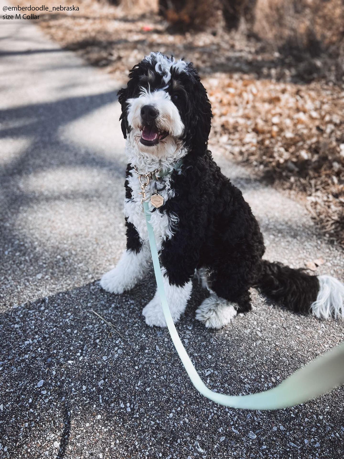 Pistachio Green Waterproof Cloud Dog Leash