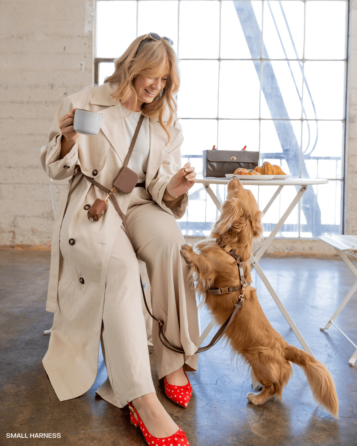 Cloud Lite Dog Harness Bundle
