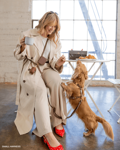 Cloud Lite Dog Harness Bundle